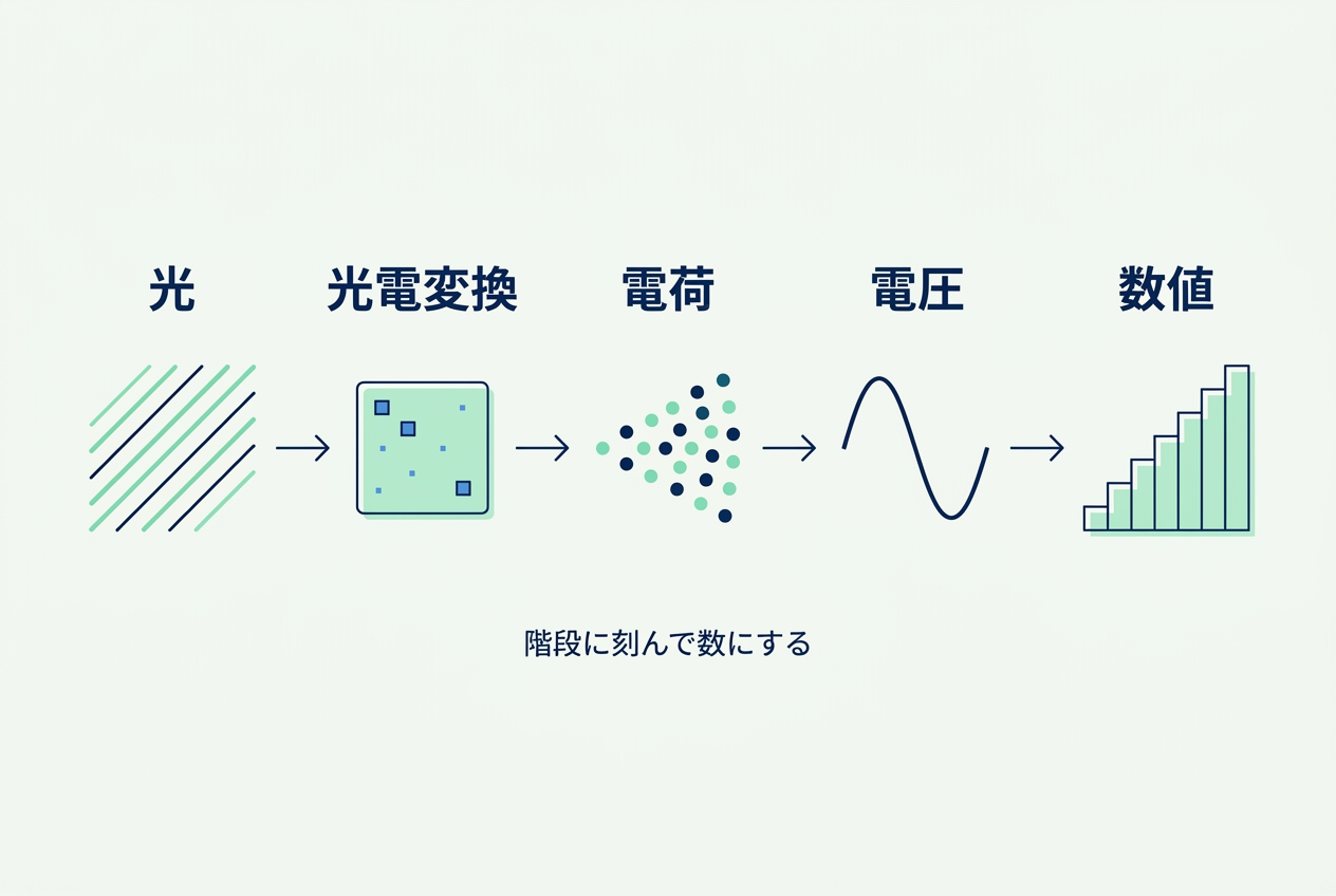 図2 光が数値になるまで